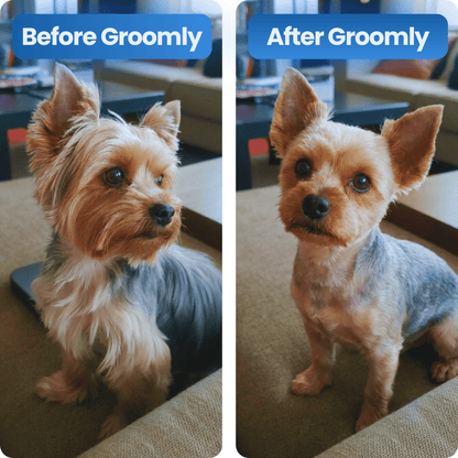 Groomly Pet Care Kit + Dog Training Guide