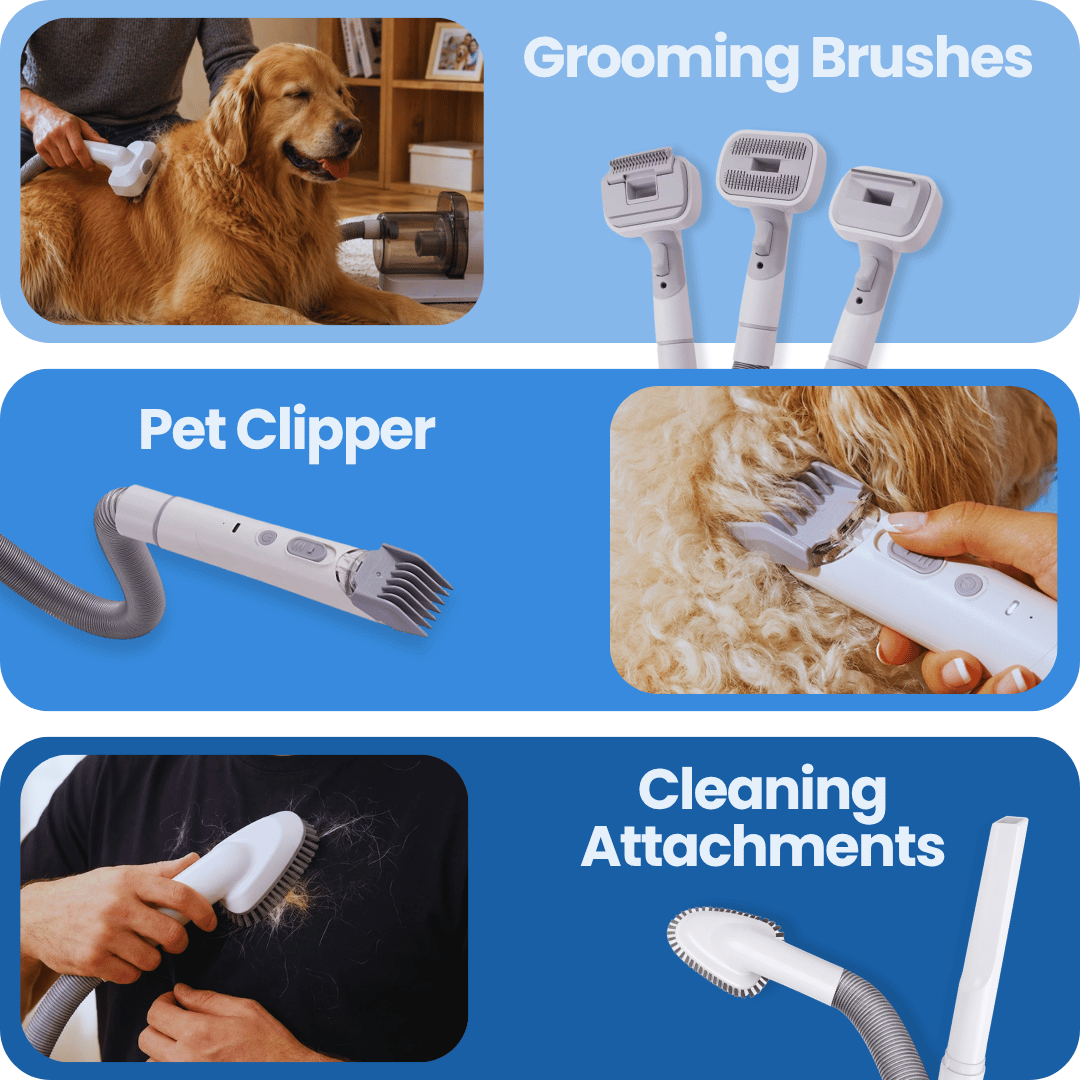 Groomly Pet Care Kit + Dog Training Guide