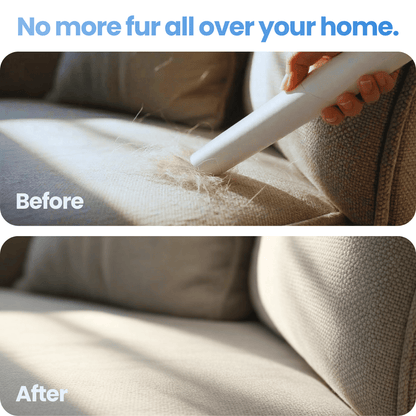 Groomly Pet Care Kit + Dog Training Guide
