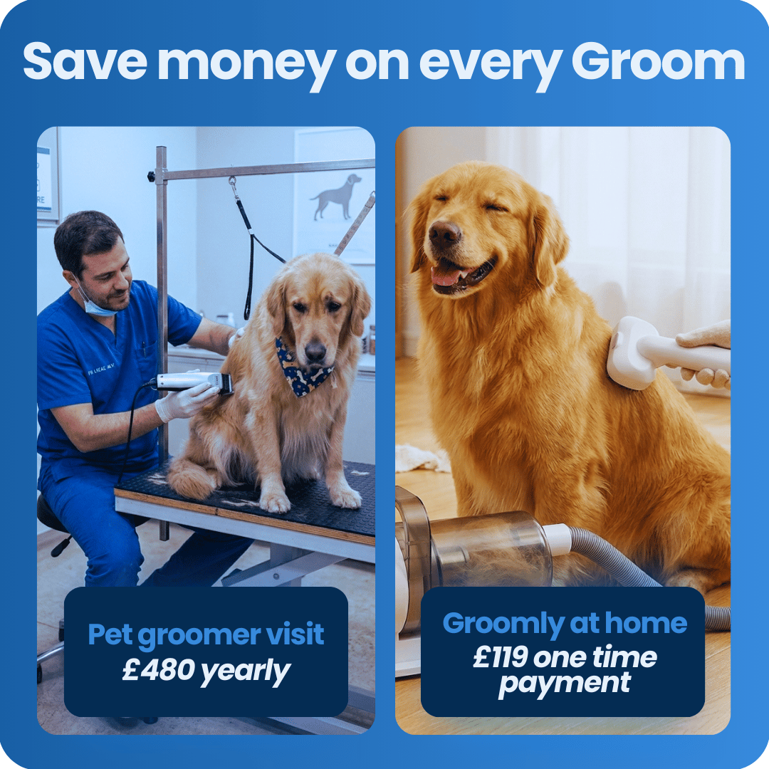 Groomly Pet Care Kit + Dog Training Guide