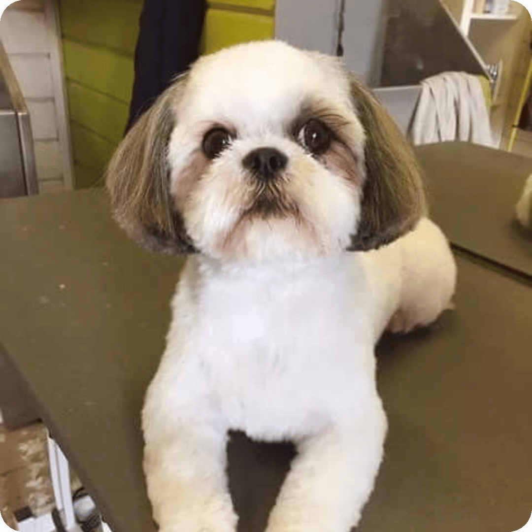 Oliver, UK
